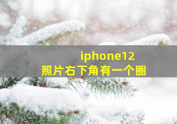 iphone12 照片右下角有一个圈